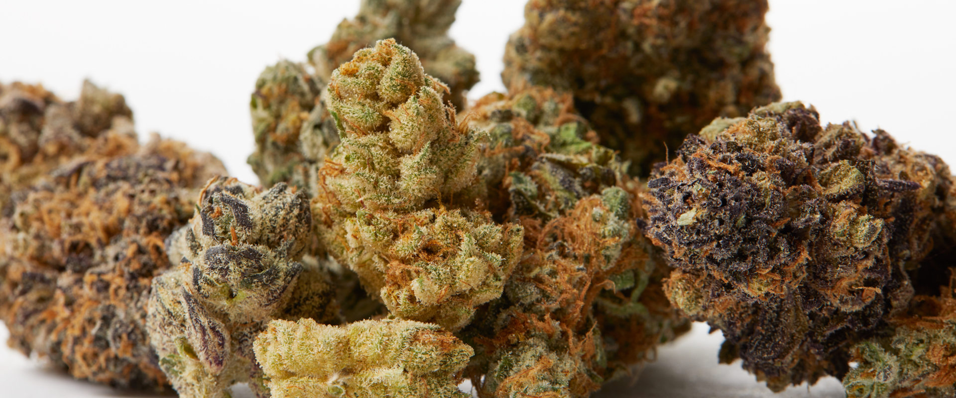 Is hemp flower the same as cbd?
