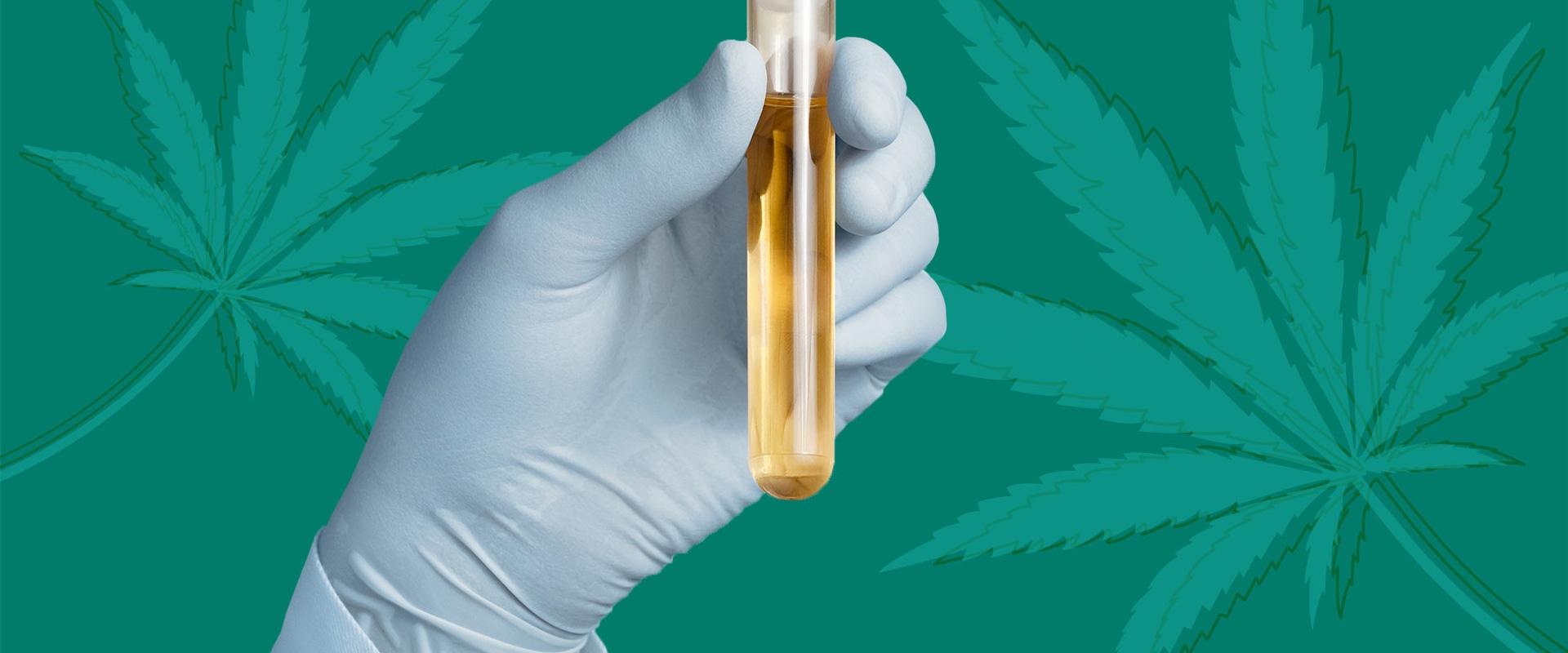 Can hemp cause you to test positive?