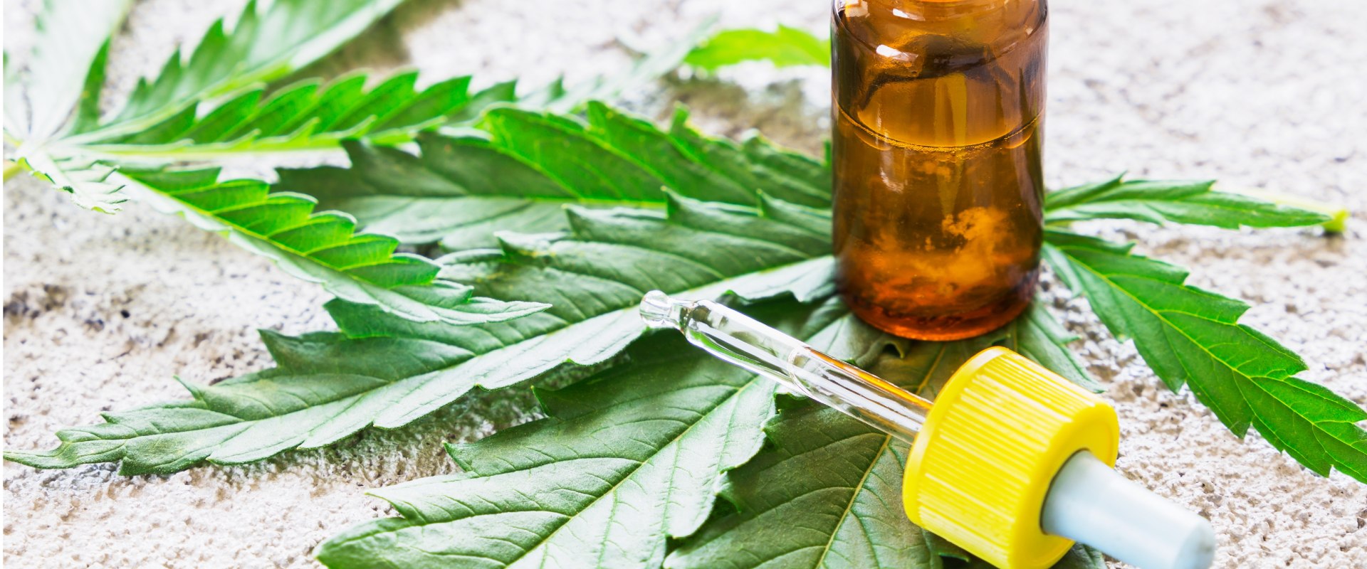 Which is better hemp or cbd?
