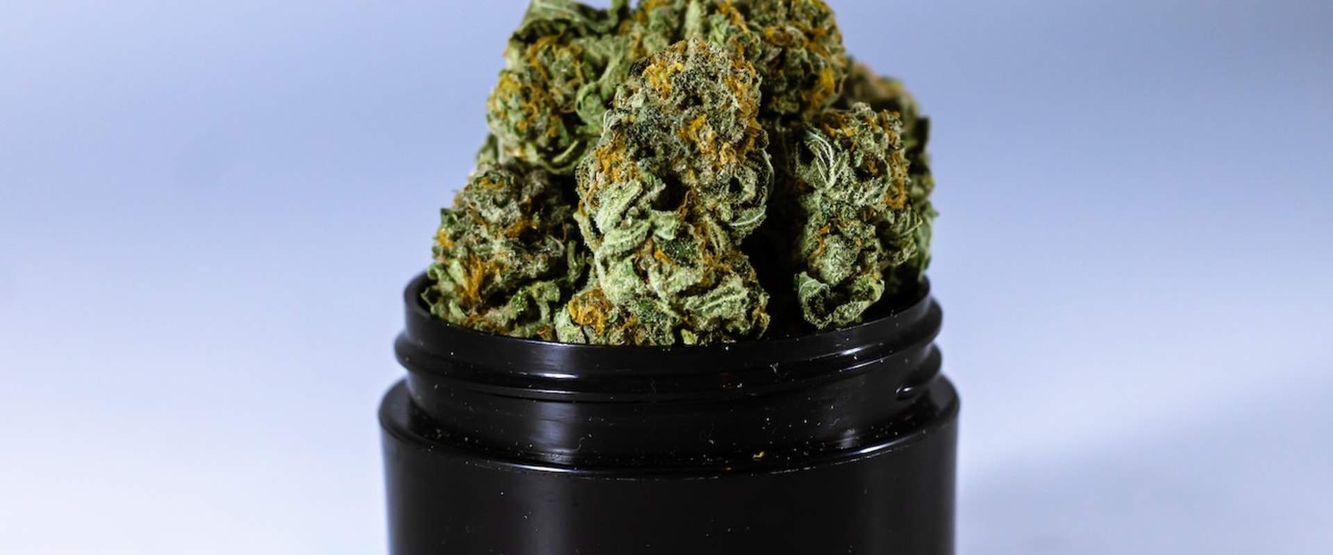 All About Hemp Flower And Gary Payton Flower In Staten Island