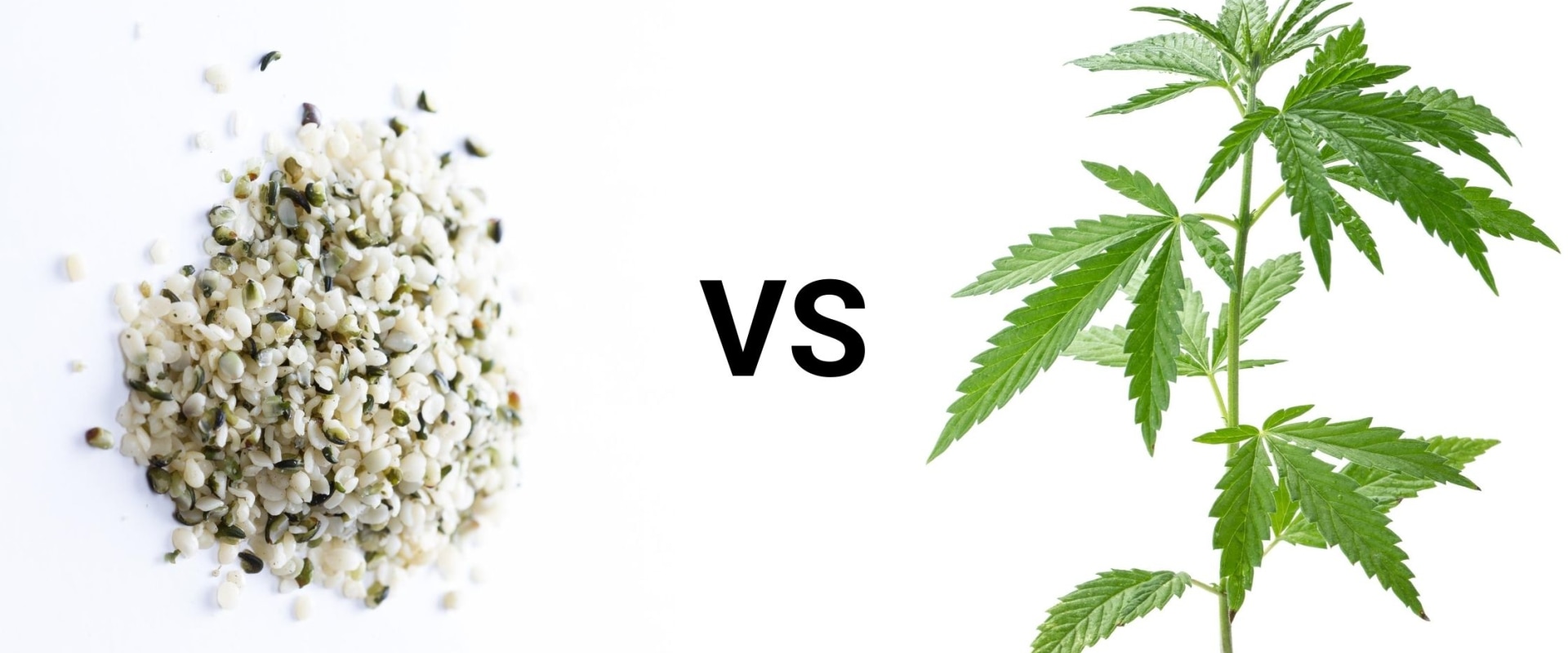 Is there a difference between cbd and hemp?