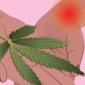 Is hemp good for chronic pain?