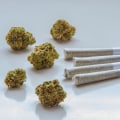 A Beginner's Guide To Hemp Flower Pre-Rolls In Michigan: What You Need To Know