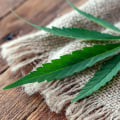 Which is better hemp or cbd gummies?