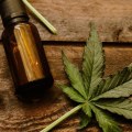 In what states is hemp legal?