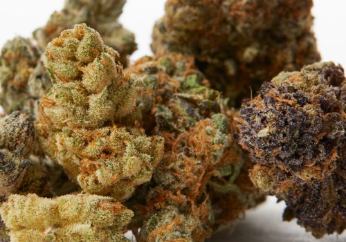 Is hemp flower the same as cbd?