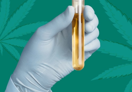 Can hemp cause you to test positive?