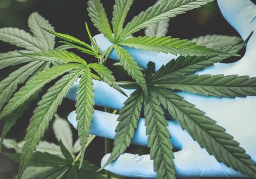 Is hemp a federally controlled substance?