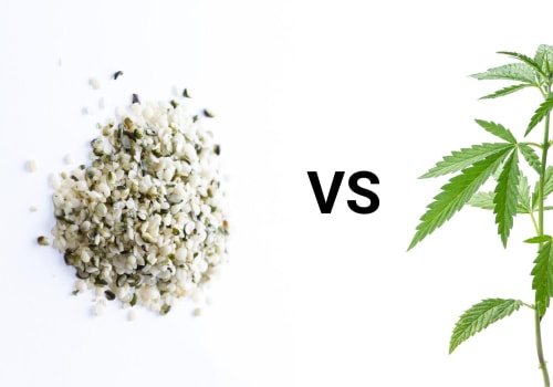What is the difference between cbd and hemp extract?